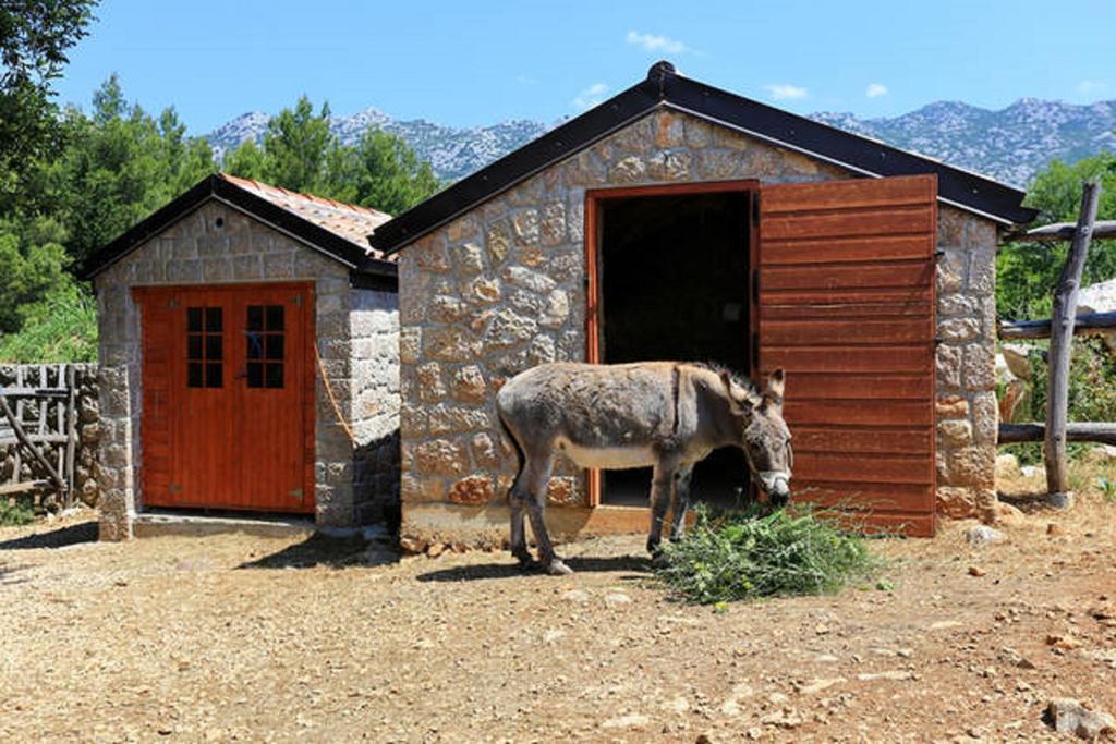 Stone House Magarac Apartment Seline Exterior foto